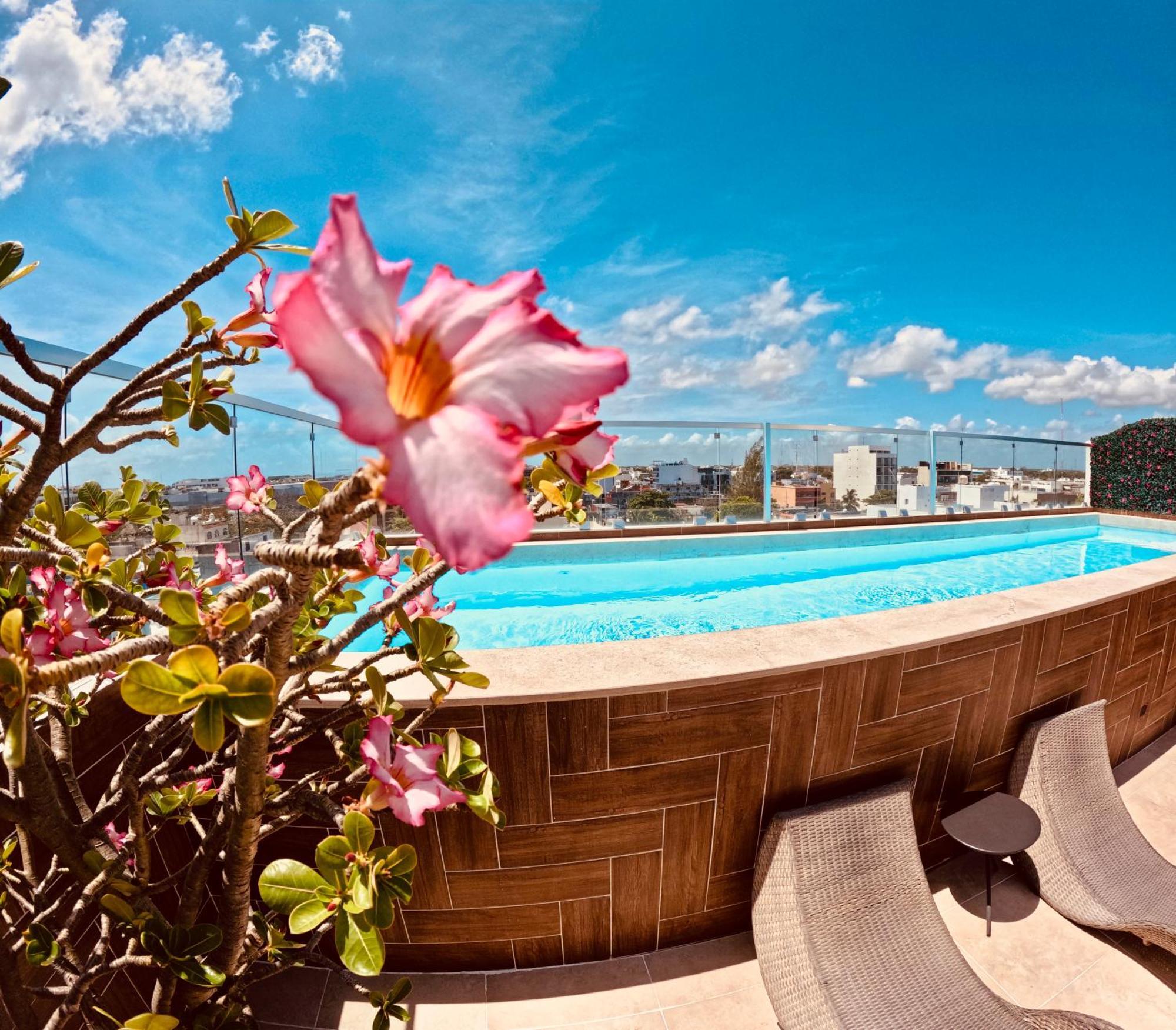 Studios With Roofpool In Vanessa 24 Playa del Carmen Eksteriør bilde